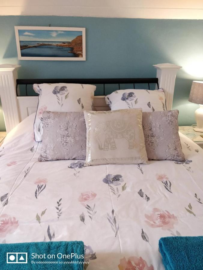 Maison Papillons Plomodiern Ngoại thất bức ảnh